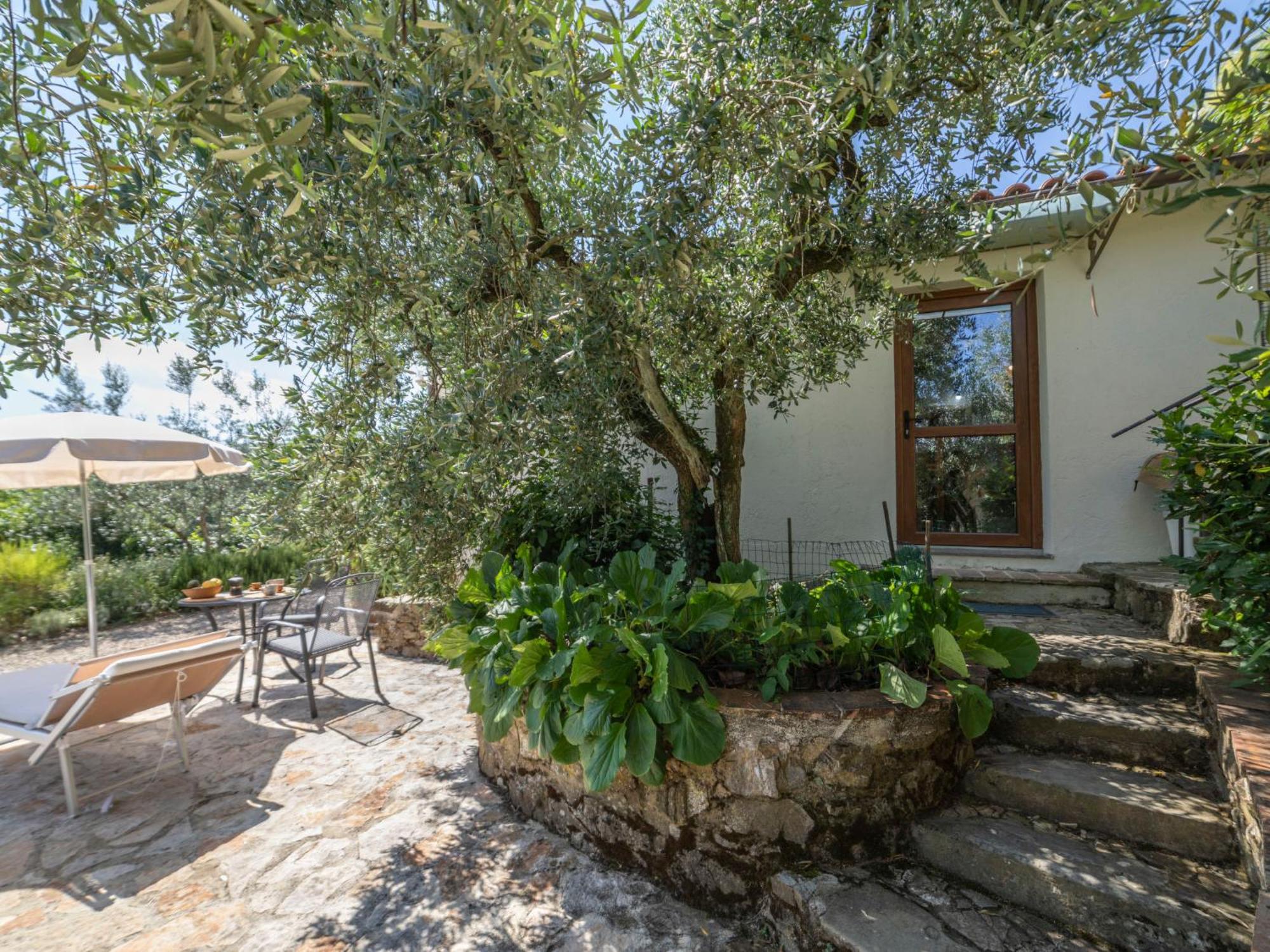 Holiday Home Olivo By Interhome Кастелина ин Шианти Экстерьер фото